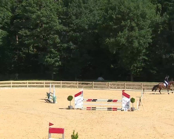 Reitturnier Tiefenhof/Opf. 2025