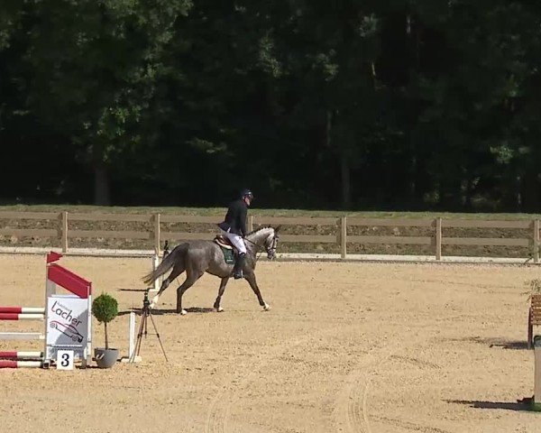 Reitturnier Tiefenhof/Opf. 2025