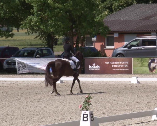 Reitturnier Rot am See- Musdorf 2025