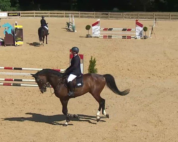 Reitturnier Tiefenhof/Opf. 2025