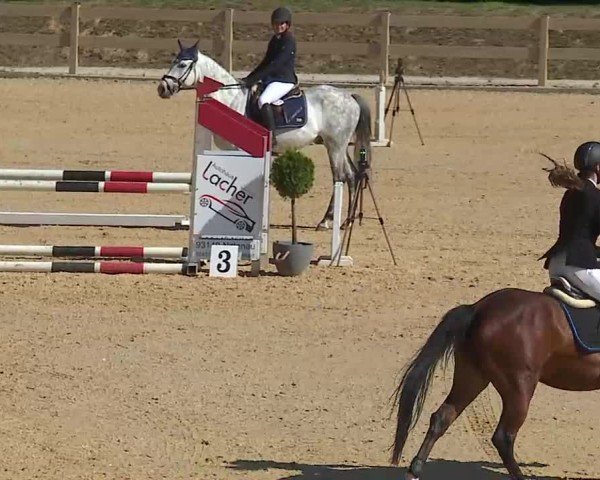 Reitturnier Tiefenhof/Opf. 2025