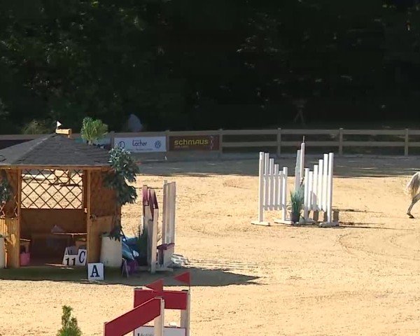 Reitturnier Tiefenhof/Opf. 2025