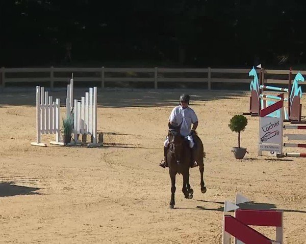 Reitturnier Tiefenhof/Opf. 2025
