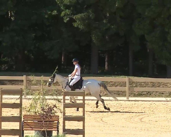 Reitturnier Tiefenhof/Opf. 2025