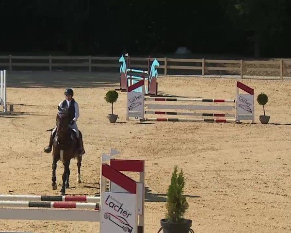 Reitturnier Tiefenhof/Opf. 2025