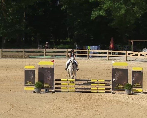 Reitturnier Tiefenhof/Opf. 2025