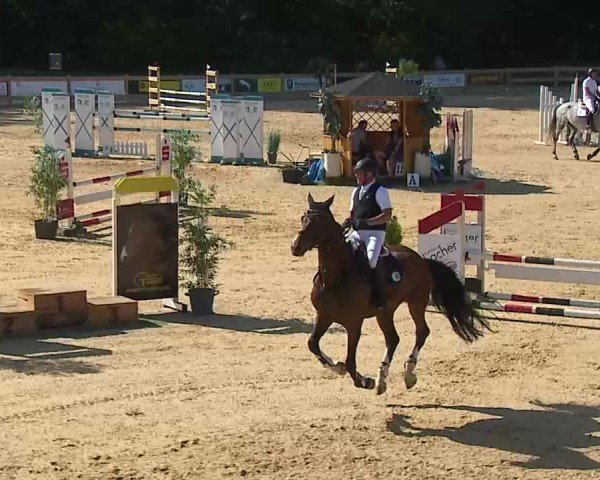 Reitturnier Tiefenhof/Opf. 2025