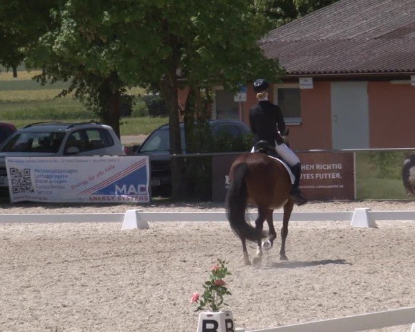 Reitturnier Rot am See- Musdorf 2025