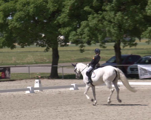 Reitturnier Rot am See- Musdorf 2025