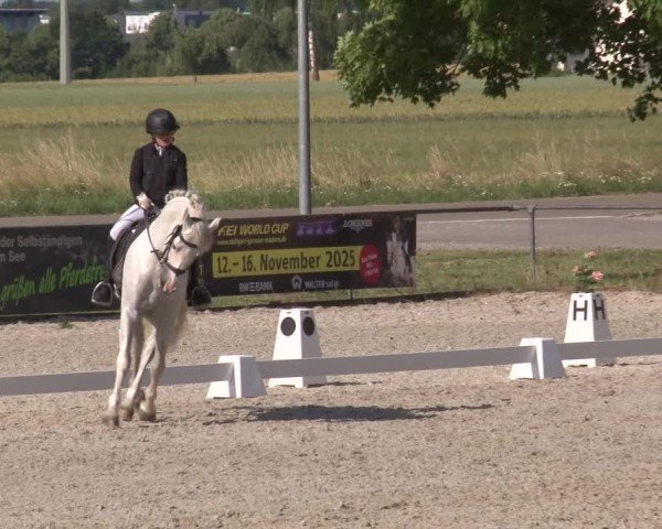 Reitturnier Rot am See- Musdorf 2025