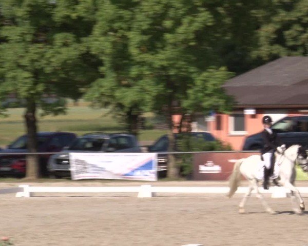 Reitturnier Rot am See- Musdorf 2025