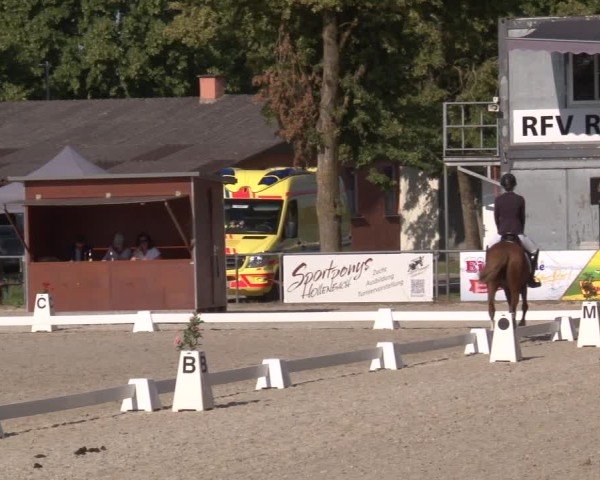 Reitturnier Rot am See- Musdorf 2025