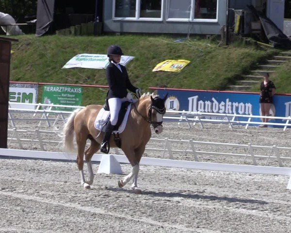 Reitturnier Holschdubrau 2025