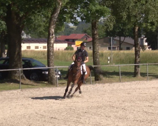 Reitturnier Rot am See- Musdorf 2025