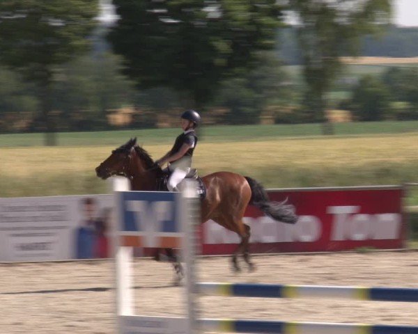 Reitturnier Rot am See- Musdorf 2025