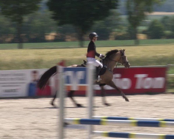 Reitturnier Rot am See- Musdorf 2025