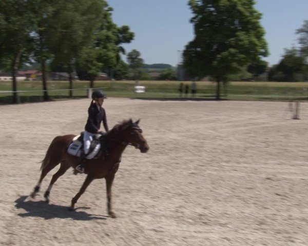 Reitturnier Rot am See- Musdorf 2025