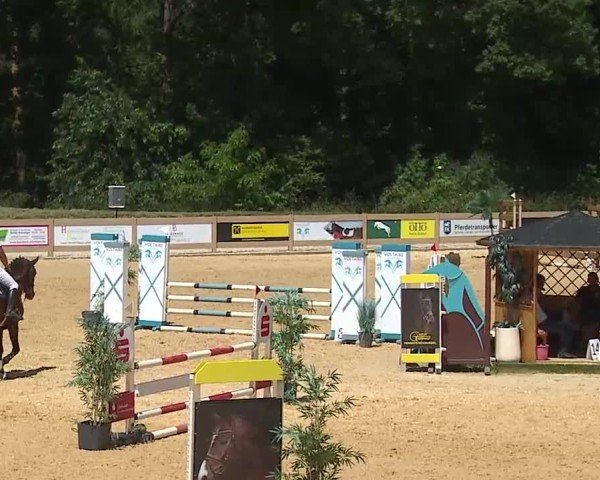 Reitturnier Tiefenhof/Opf. 2025