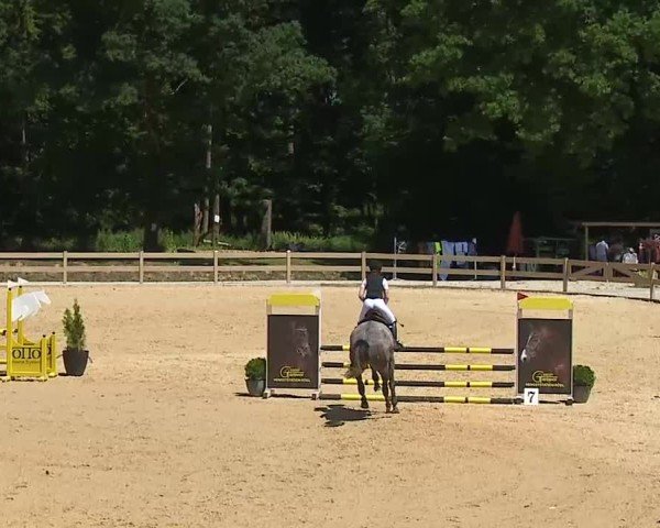 Reitturnier Tiefenhof/Opf. 2025