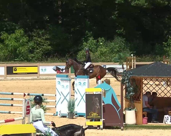 Reitturnier Tiefenhof/Opf. 2025