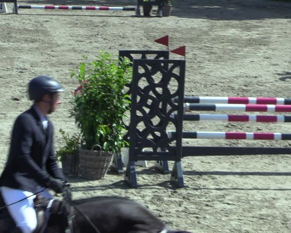 Reitturnier Breitenburg 2025