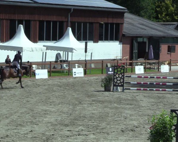 Reitturnier Breitenburg 2025