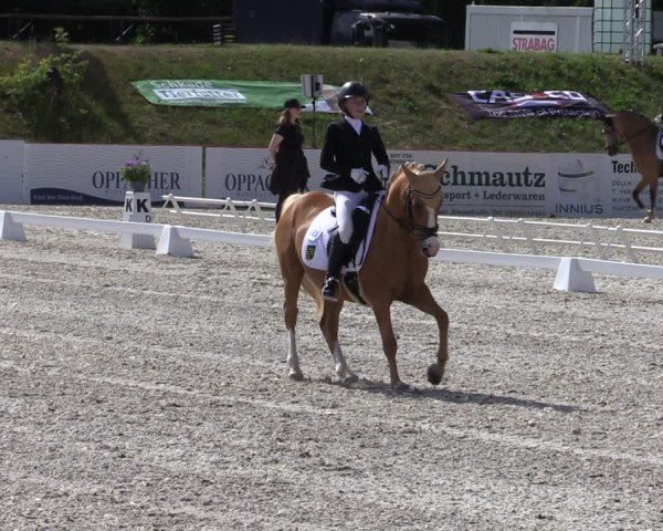 Reitturnier Holschdubrau 2025