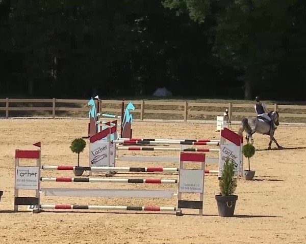 Reitturnier Tiefenhof/Opf. 2025