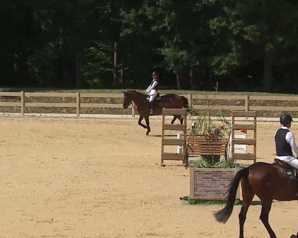 Reitturnier Tiefenhof/Opf. 2025