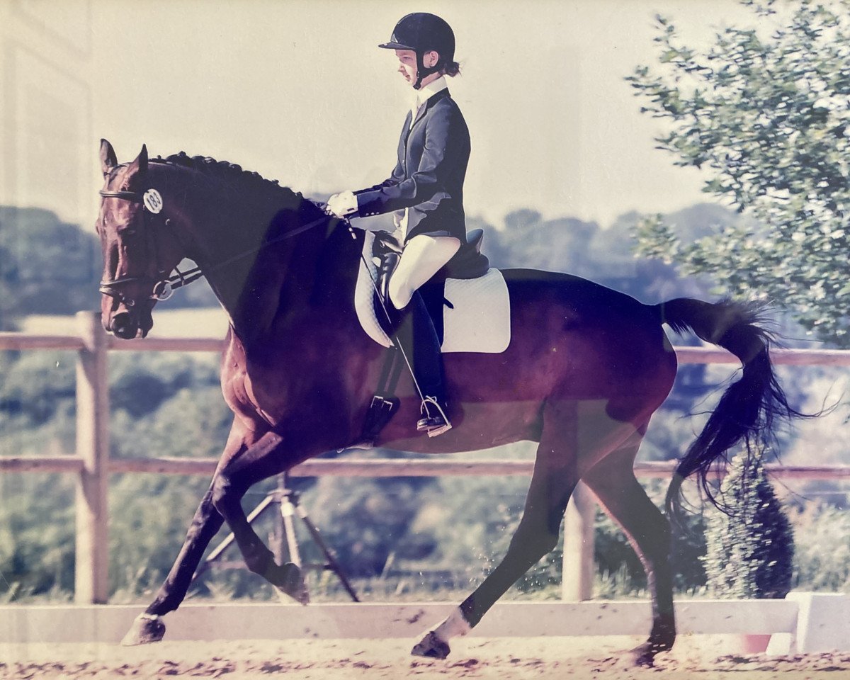 horse Wassigny G (Luxembourg horse, 1998, from Wolkenstein II)