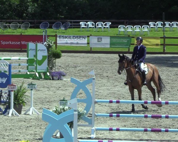 Reitturnier Breitenburg 2025