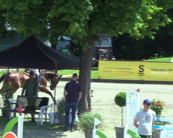Reitturnier Breitenburg 2025