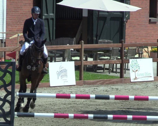 Reitturnier Breitenburg 2025