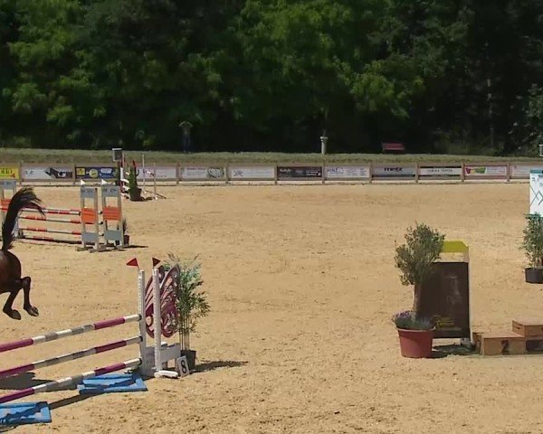 Reitturnier Tiefenhof/Opf. 2025