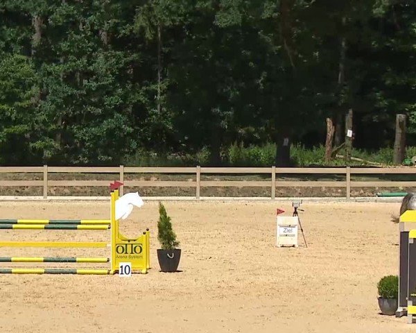 Reitturnier Tiefenhof/Opf. 2025