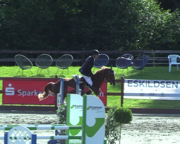 Reitturnier Breitenburg 2025