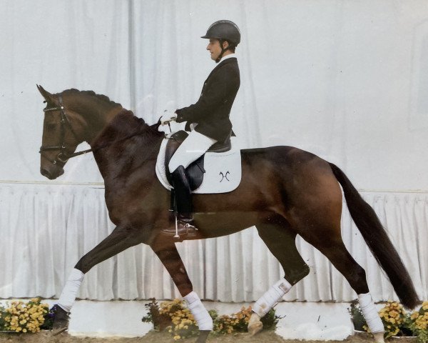horse Fine Flavia G (Hanoverian, 2012, from Fürstenball)