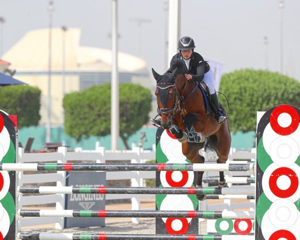 jumper Kylix Blue Star (Oldenburg show jumper, 2005, from Chacco-Blue)