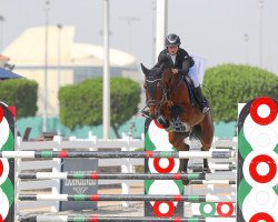 jumper Kylix Blue Star (Oldenburg show jumper, 2005, from Chacco-Blue)