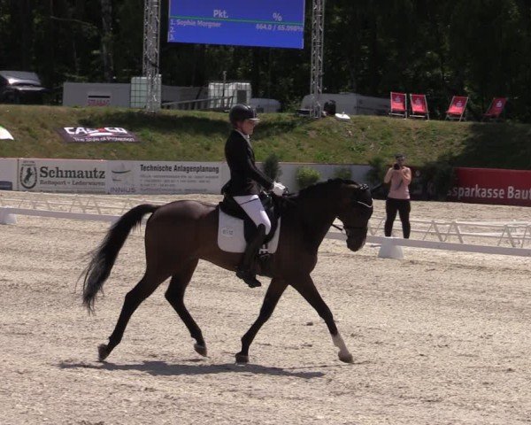 Reitturnier Holschdubrau 2025