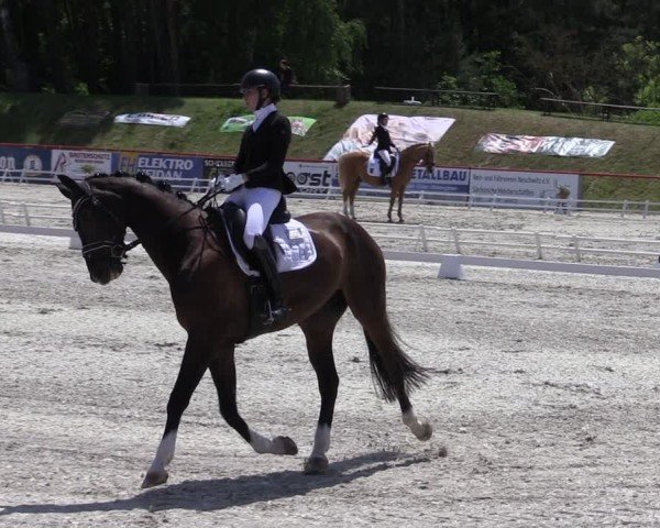 Reitturnier Holschdubrau 2025