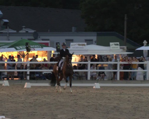 Reitturnier Dortmund-Somborn 2025