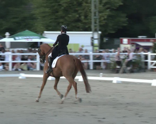 Reitturnier Dortmund-Somborn 2025