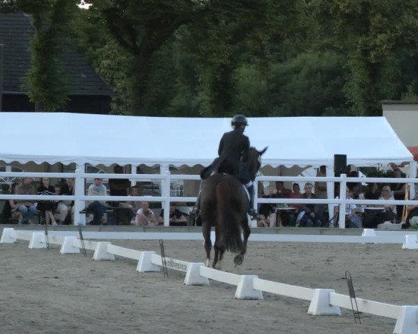 Reitturnier Dortmund-Somborn 2025