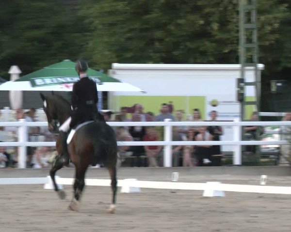 Reitturnier Dortmund-Somborn 2025