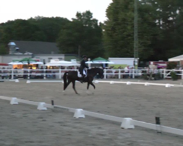 Reitturnier Dortmund-Somborn 2025