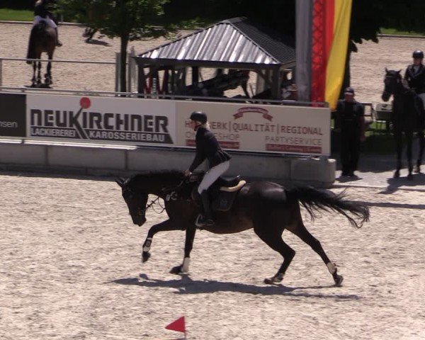 Reitturnier Dorfchemnitz 2025