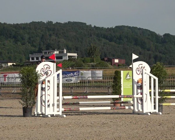Reitturnier Hitzkirch 2025