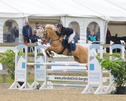 jumper Terbofens Caretino (German Riding Pony, 2019, from Classic Dancer I)
