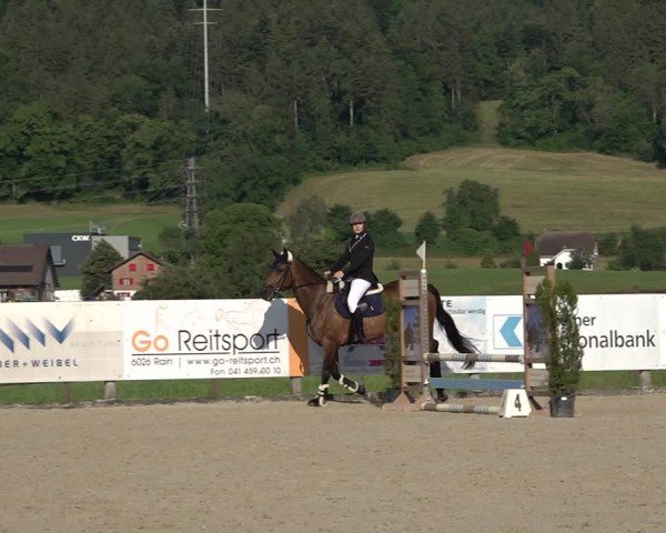 Reitturnier Hitzkirch 2025